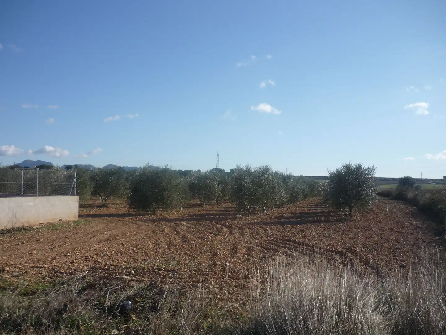 Land for sale in Vila-rodona