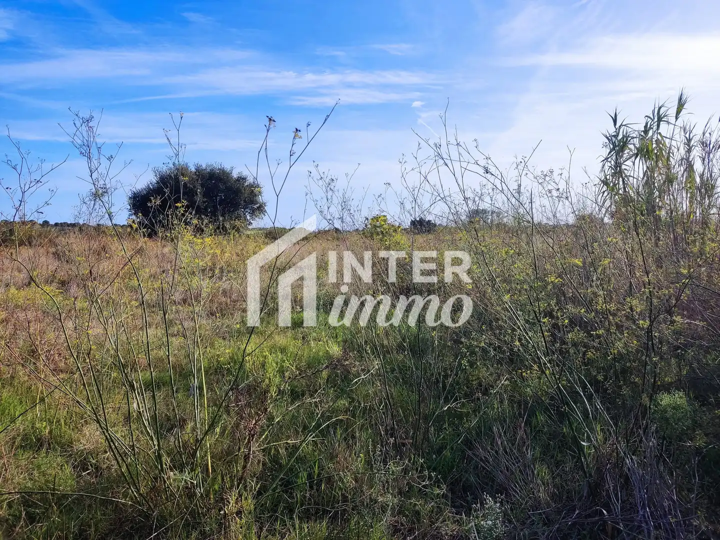 Residential land for sale in Carretera Vilamacolum 0, imagen 6