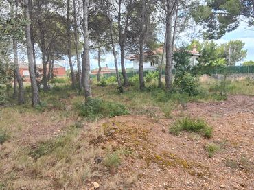 Terreno residenziale in vendita a Carrer Acàcies