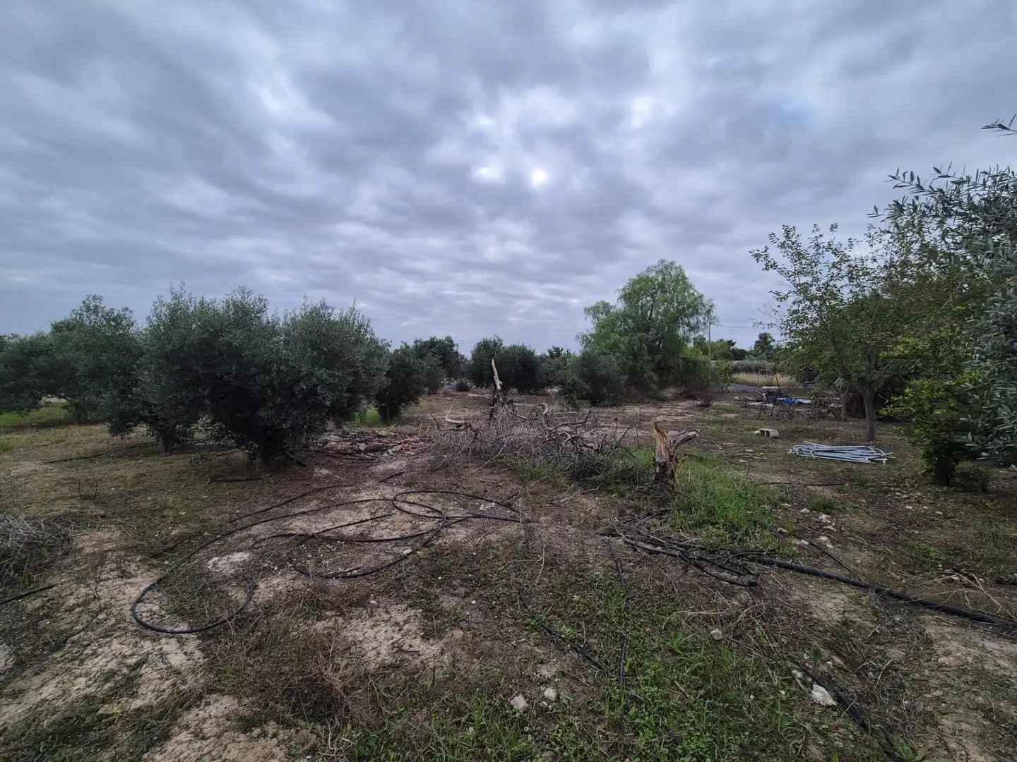 Finca rústica en venda en Las Torres de Cotillas amb Jardí privat, Terrassa i Traster
