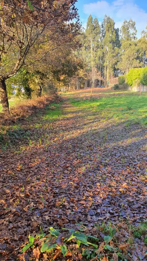 Finca rústica en venta en Padrón