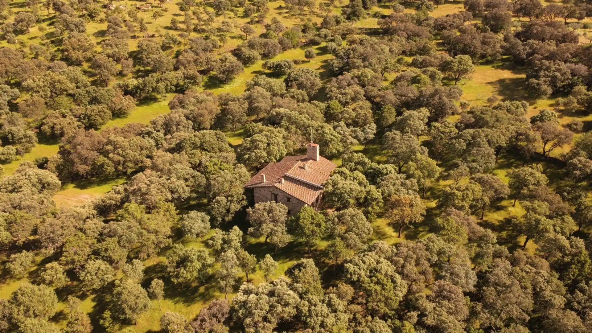 Country house zum Verkauf in El Real de San Vicente