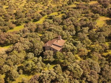 Casa rústica con jardín en venta en El Real de San Vicente