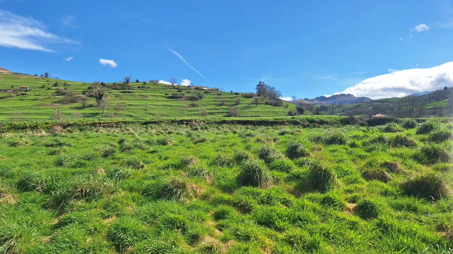 Terreno rustico in vendita a Selaya, imagen 3
