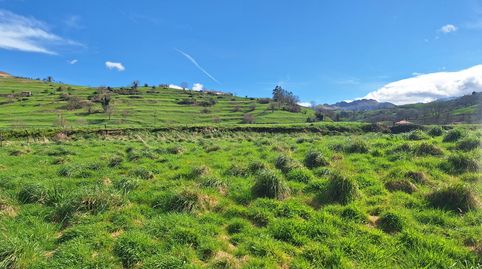 Foto 3 de Terreny en venda a Selaya, Cantabria