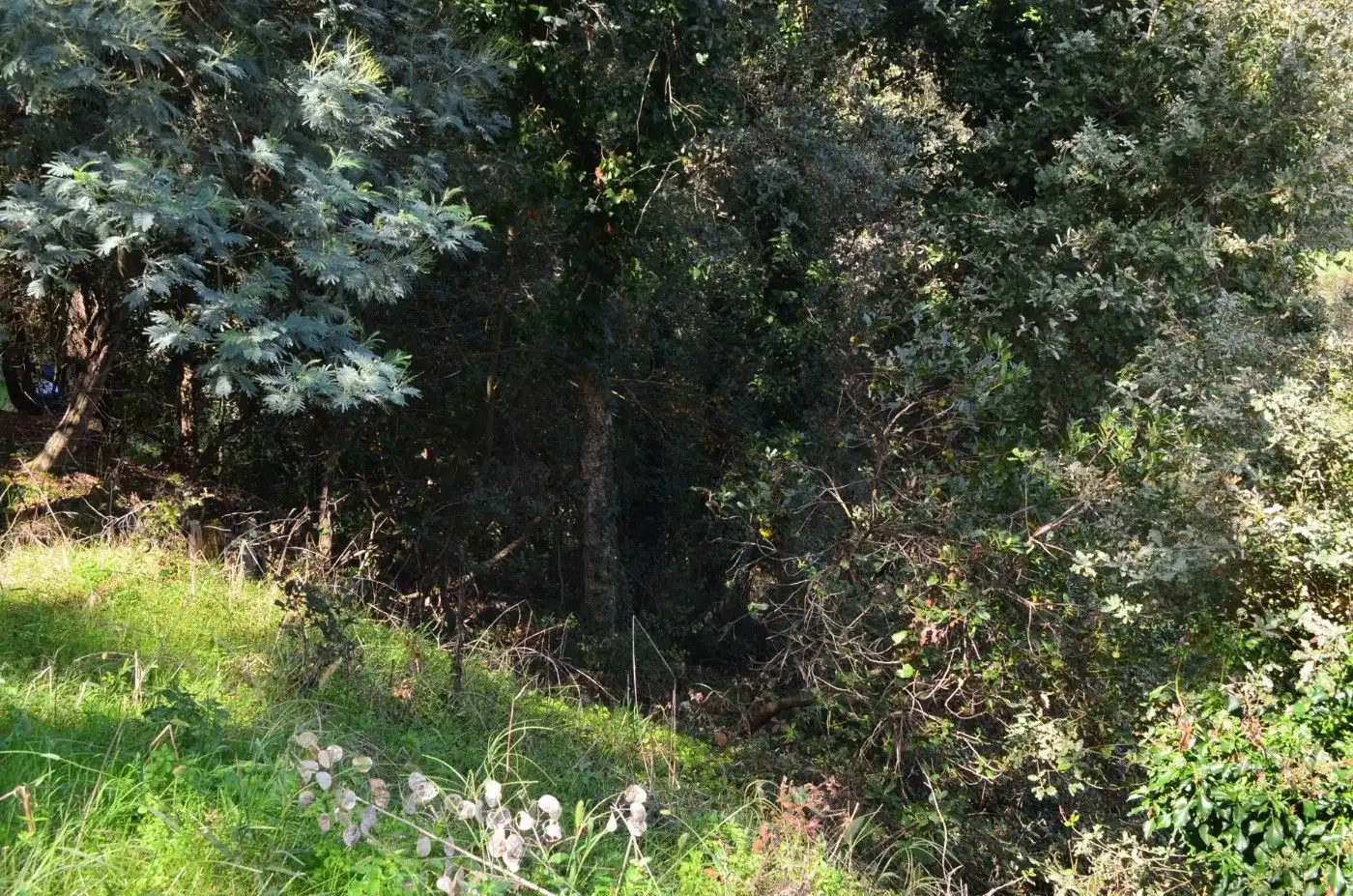 Wohnbaugrundstück zum Verkauf in Sant Celoni, imagen 5