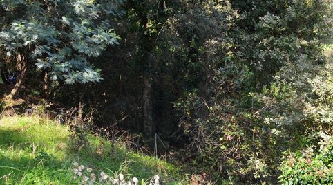Terreno zona tranquila, imatge 5