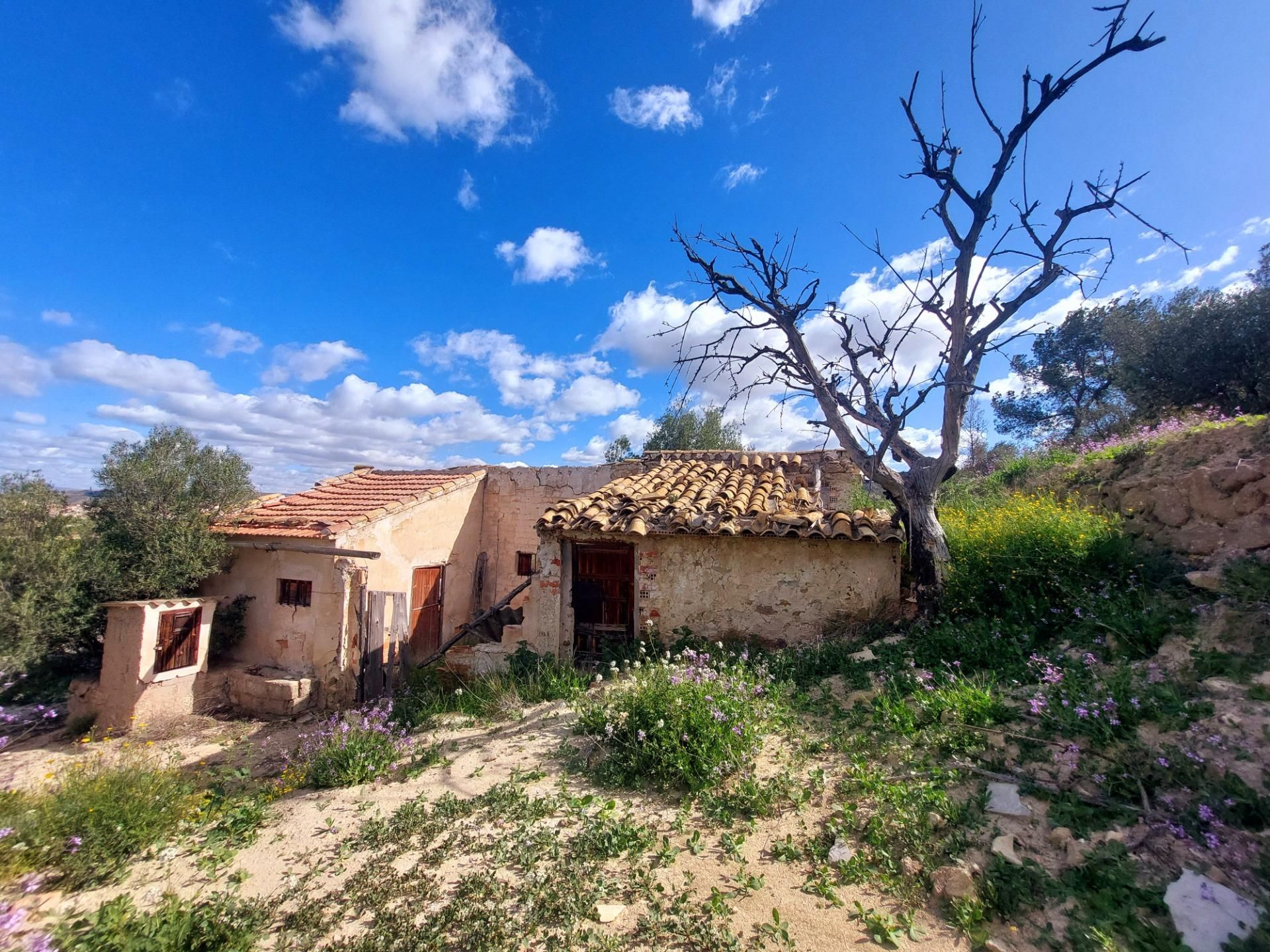 Country house for sale in Abarán