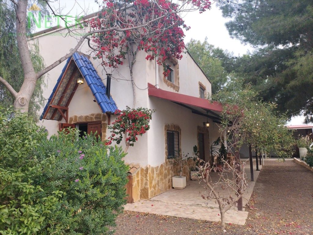 Vista exterior de Casa o chalet en venta en Alguazas con Terraza y Piscina