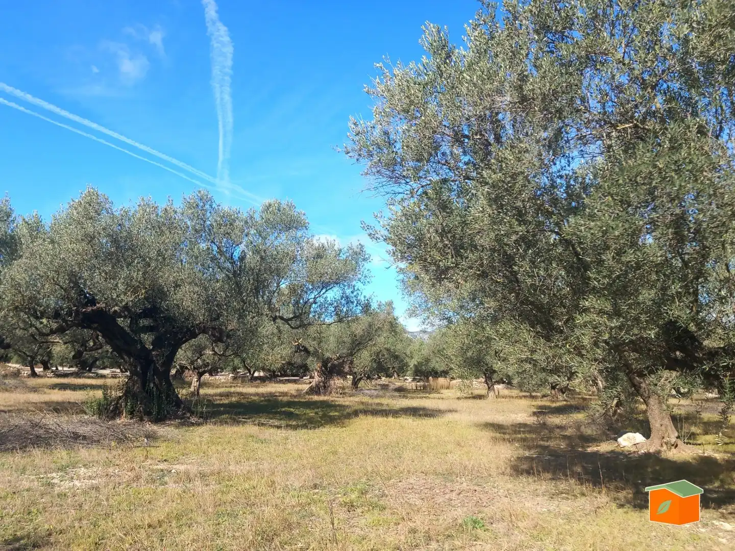 Terreno rustico in vendita a Mas de Barberans, imagen 9