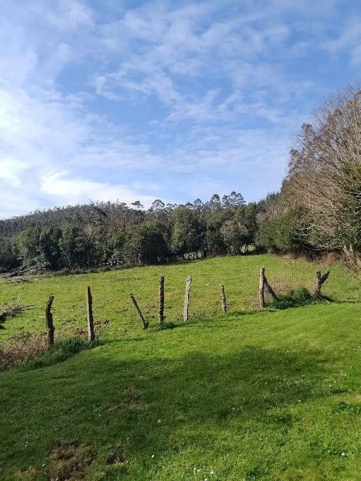 Finca rústica en venta en Cerdido con Jardín privado