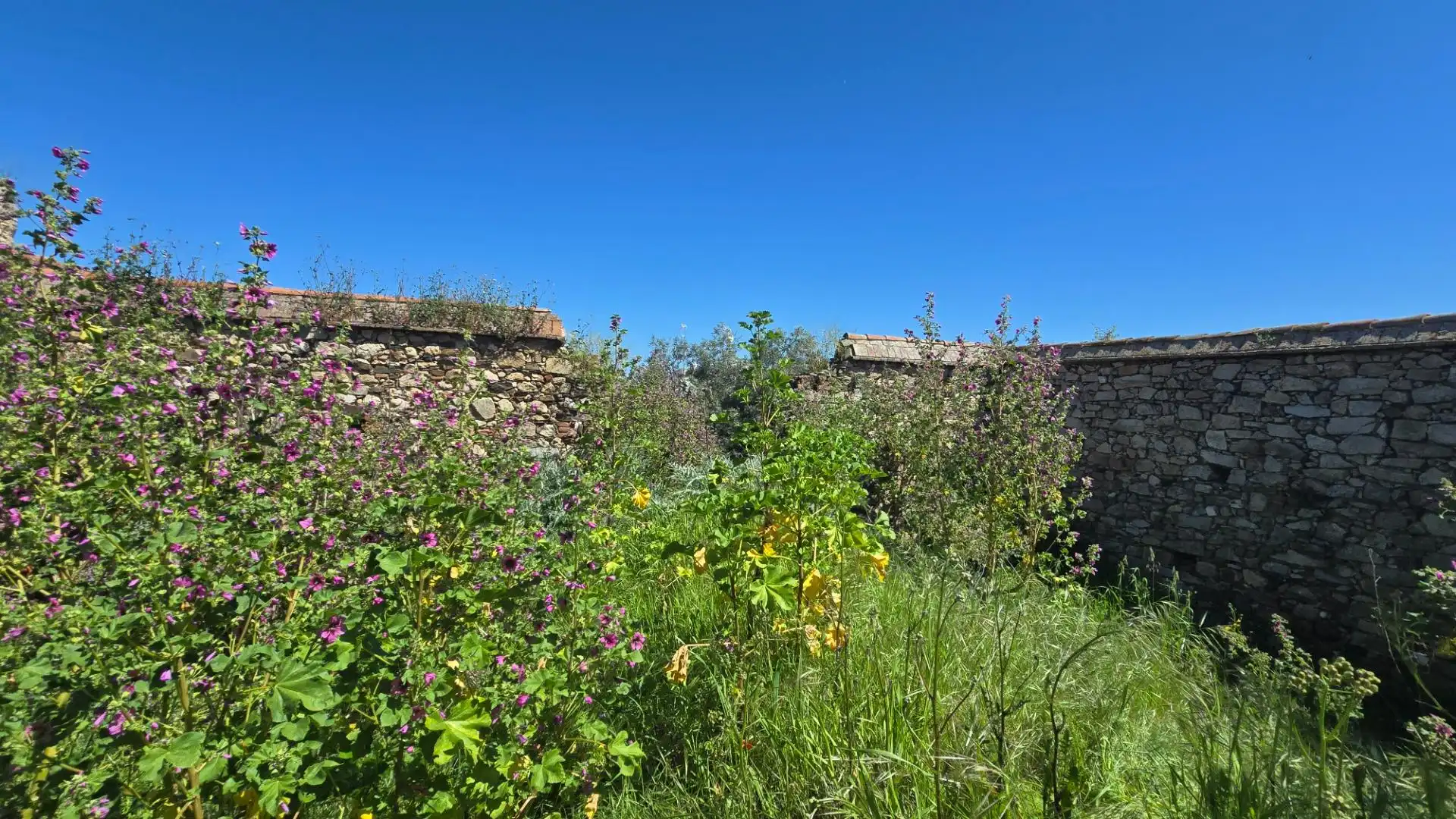 Maison à vendre à El Guijo, imagen 7