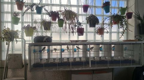 Foto 5 de Casa o chalet en venta en Alcanar, Tarragona