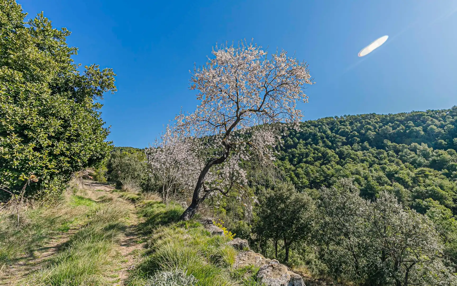 Finca rústica en venta en Navès con Calefacción, Jardín privado y Terraza