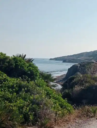 Vista exterior de Finca rústica en venda en Tarifa