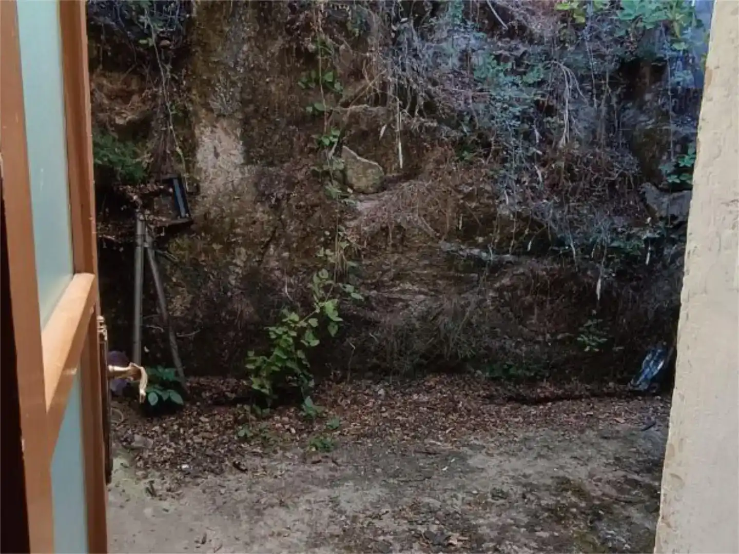 Jardí de Casa adosada en venda en Cistierna