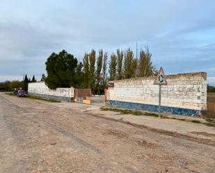 Vista exterior de Casa o xalet en venda en Madridejos amb Jardí privat, Terrassa i Piscina