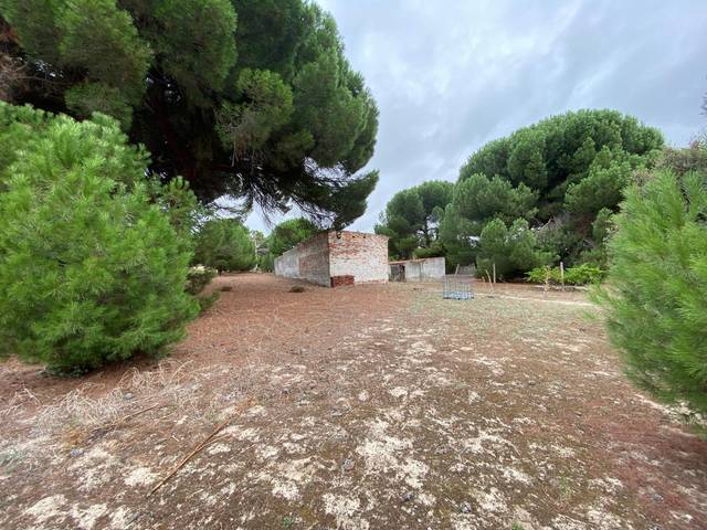 Terreno en Venta en Plaza Descubrimiento, 4 en Aldeamayor de San Martín