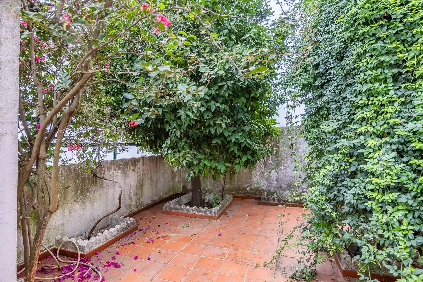 Adosado con piscina en venta en Calle de Julio Romero de Torres 55, imagen 3