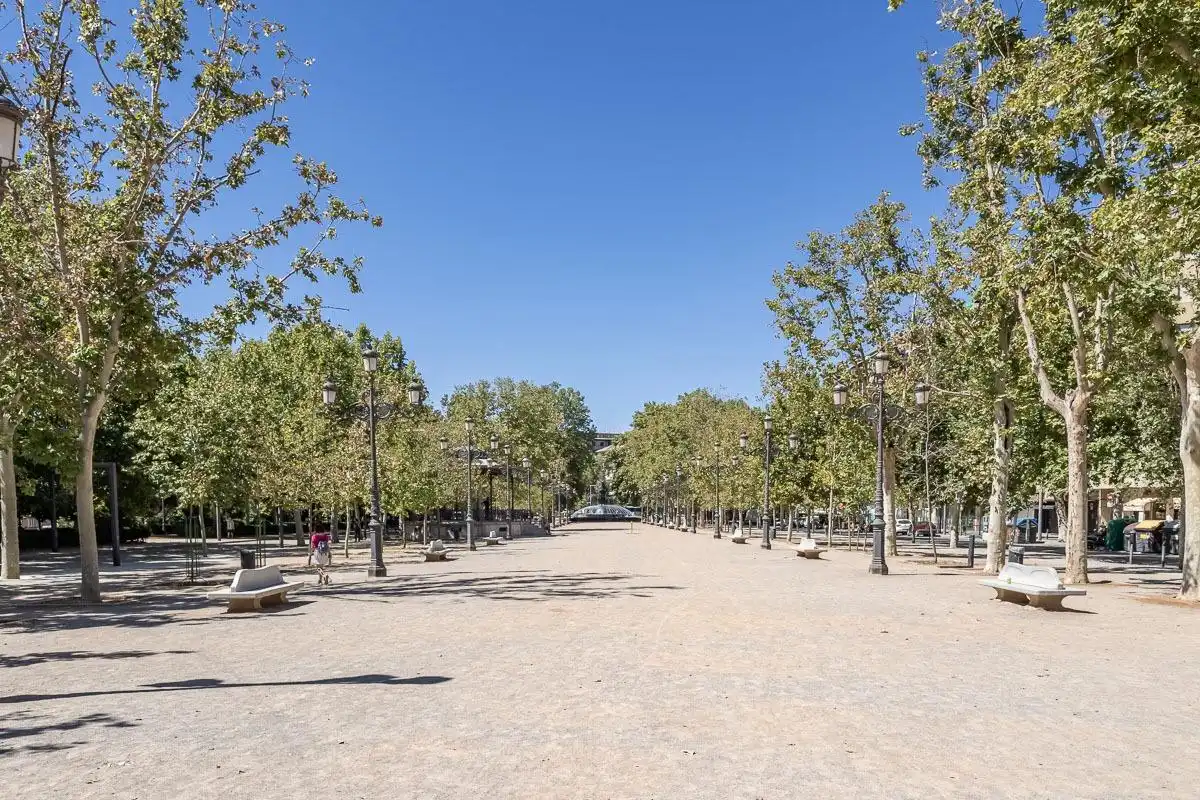 Business premises for sale in Plaza de Carretas 5, imagen 29