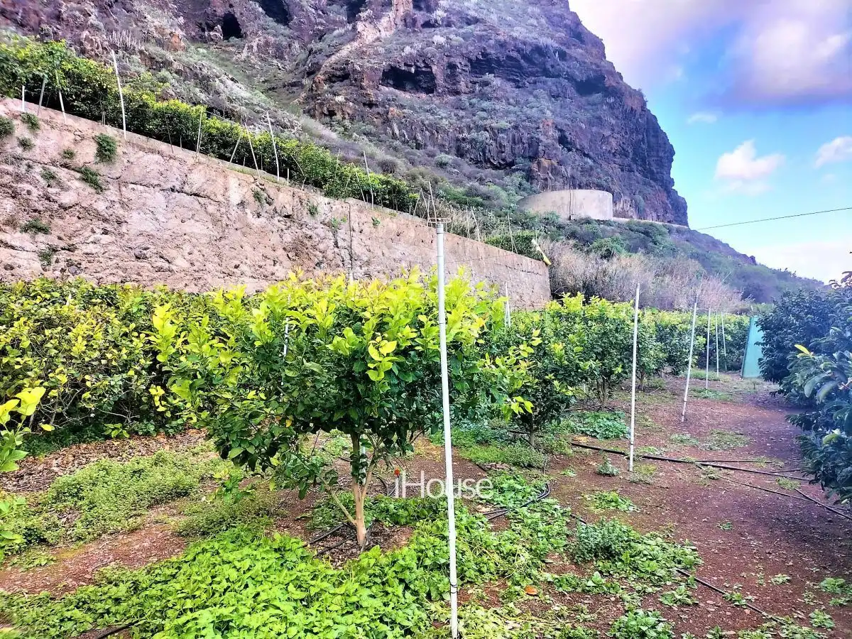 Terreno en venta en PUNTA DE TENO, Buenavista del Norte