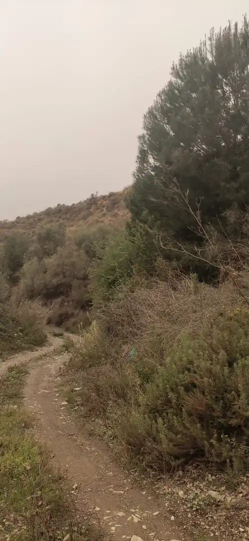 Terreno rústico en venta en Motril  ciudad, imagen 9