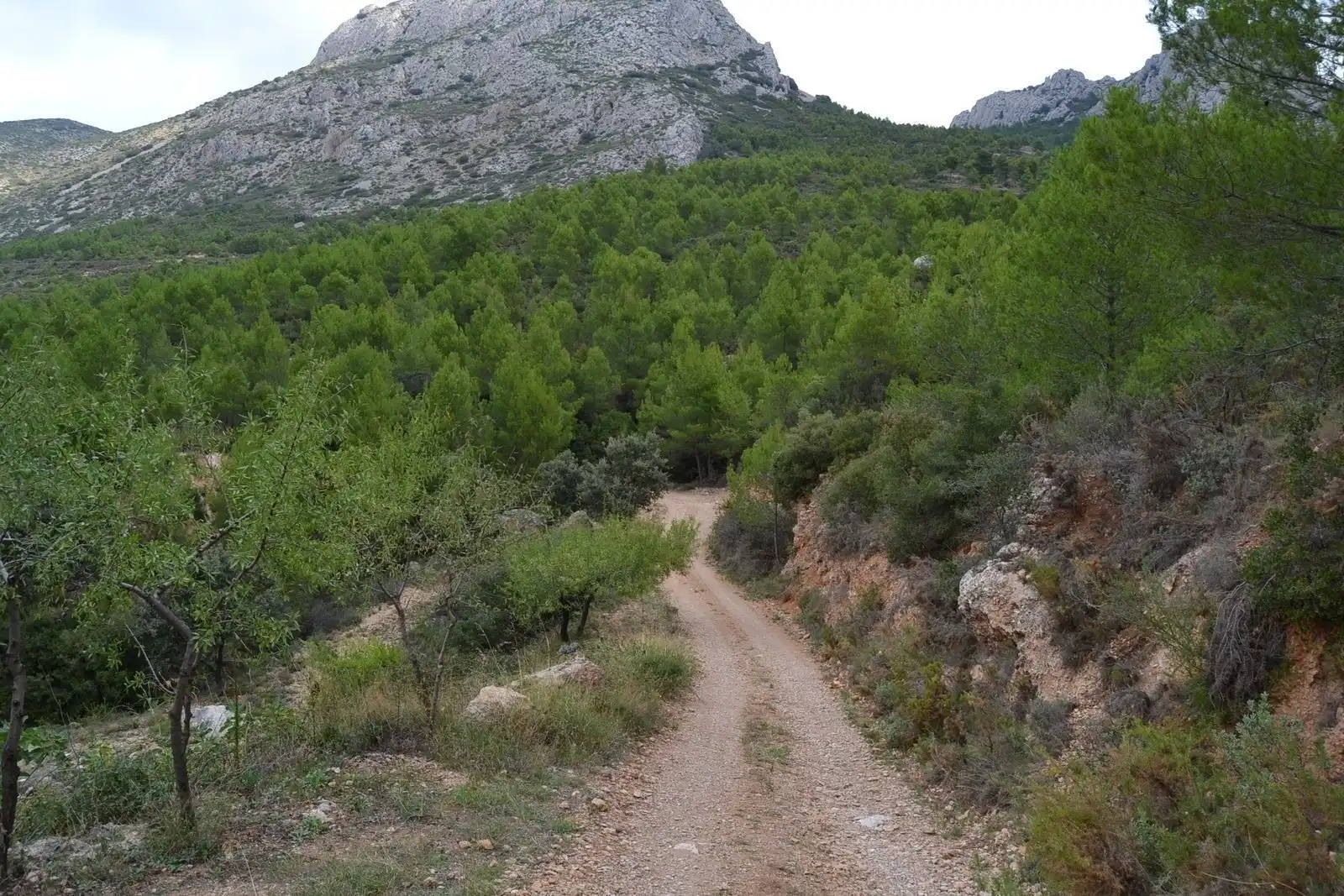 Vista exterior de Finca rústica en venda en Sella