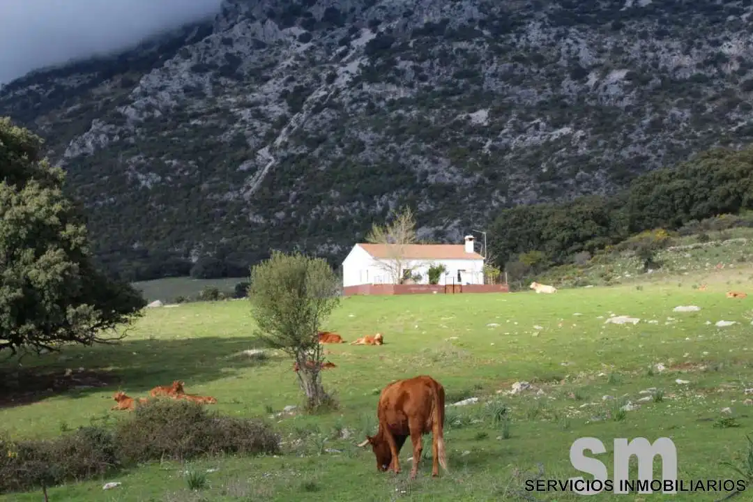 Terreni e lotti in vendita a Cortes de la Frontera, imagen 4