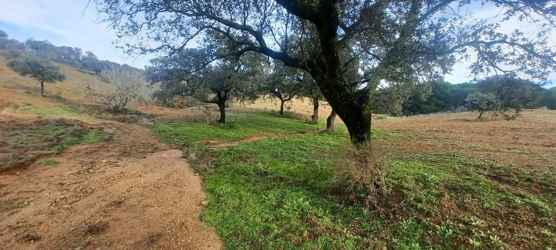 Terreni e lotti in vendita a Cazalla de la Sierra, imagen 47