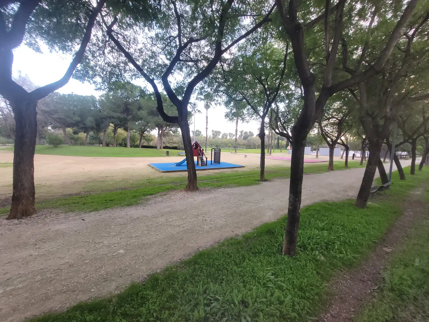 Pis amb piscina en venda a Urbanización Parque Flores, imagen 54