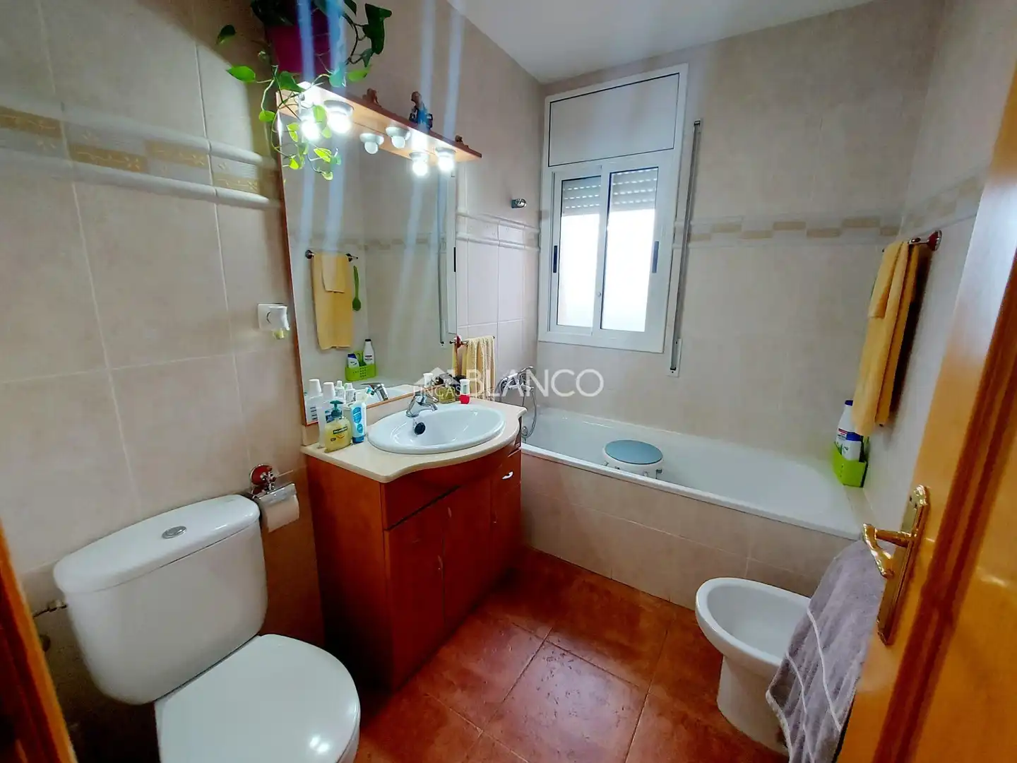 Casa o chalet en venta en Sant Andreu de la Barca