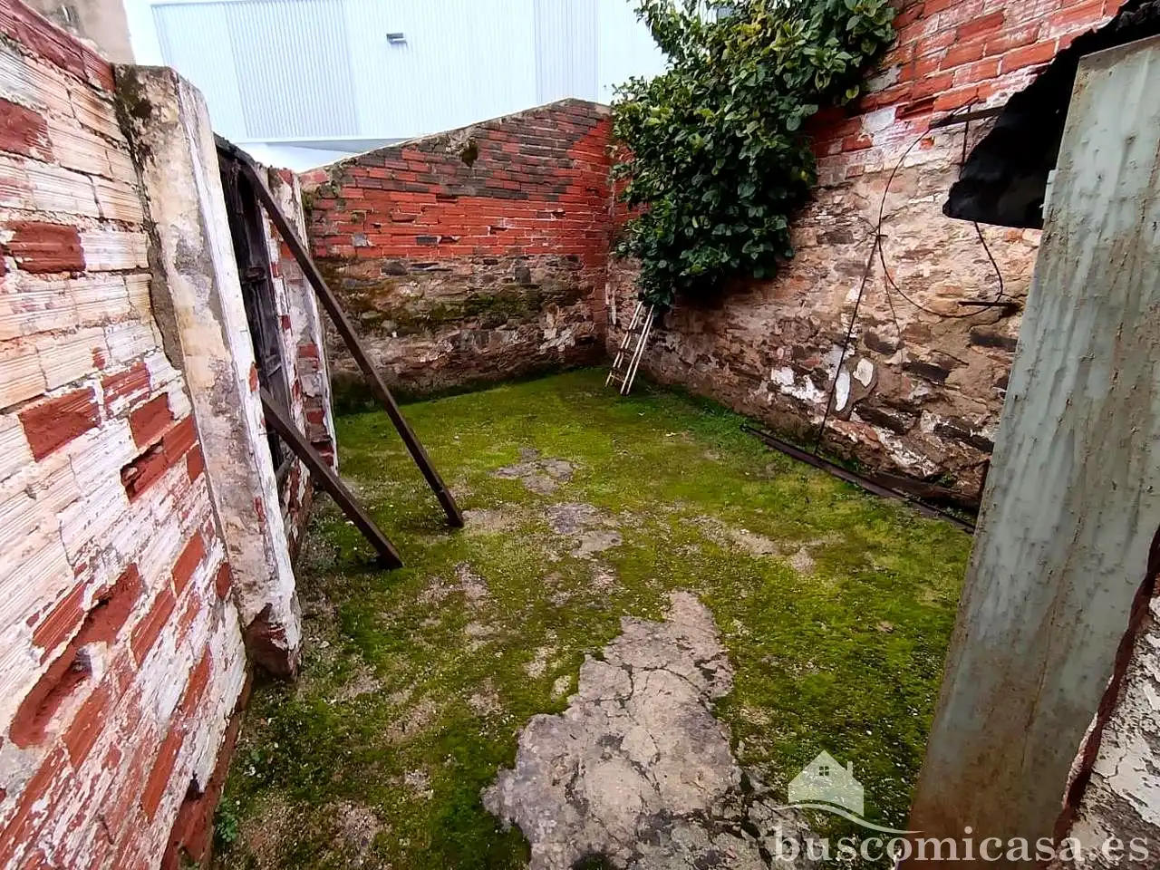 Jardín de Casa o chalet en venta en La Carolina