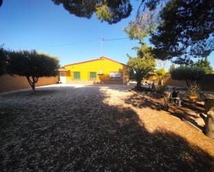 Vista exterior de Casa o xalet en venda en  Murcia Capital amb Terrassa i Piscina