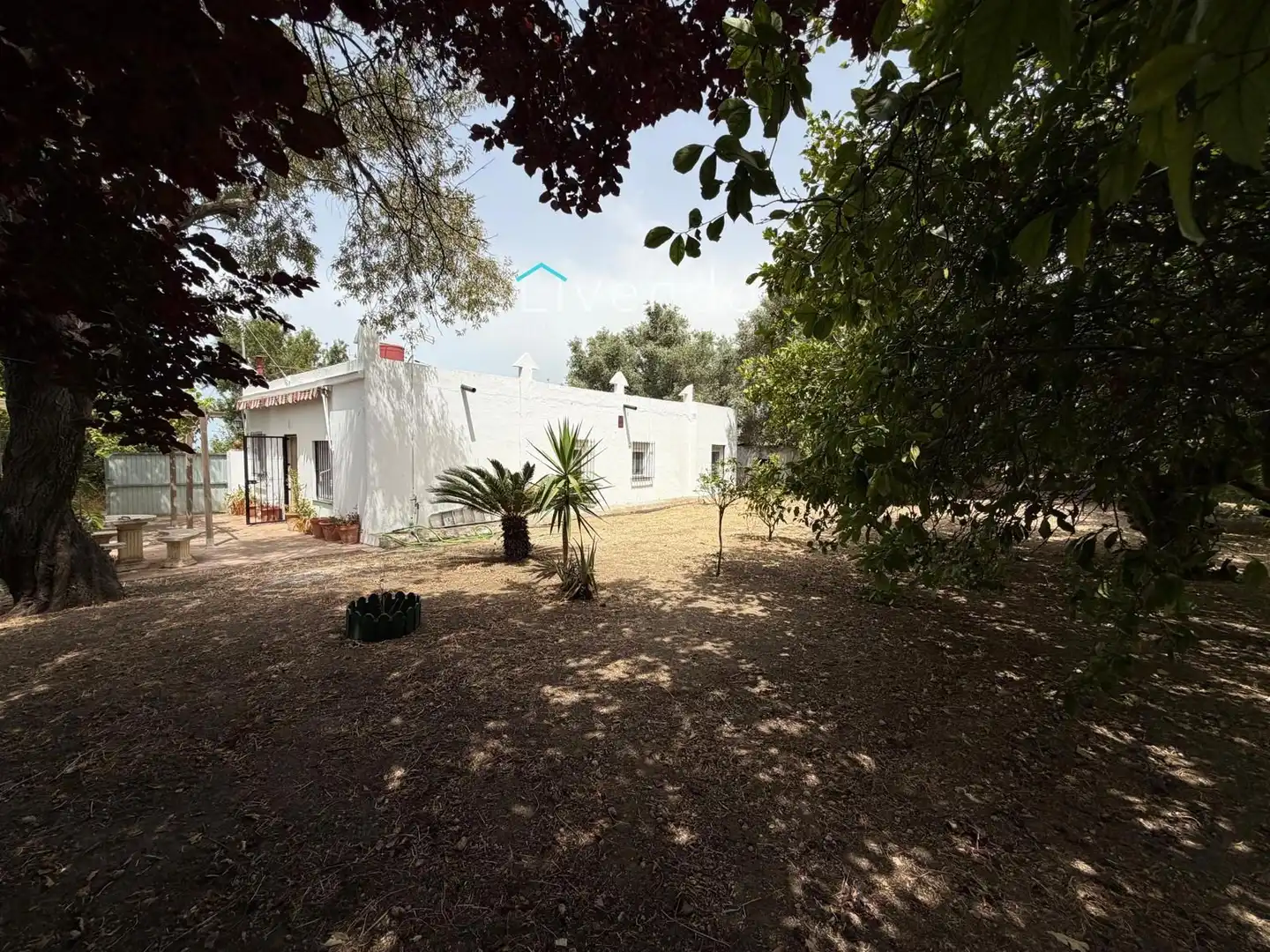Chalet en venta en BARRIO NUEVO, imagen 23