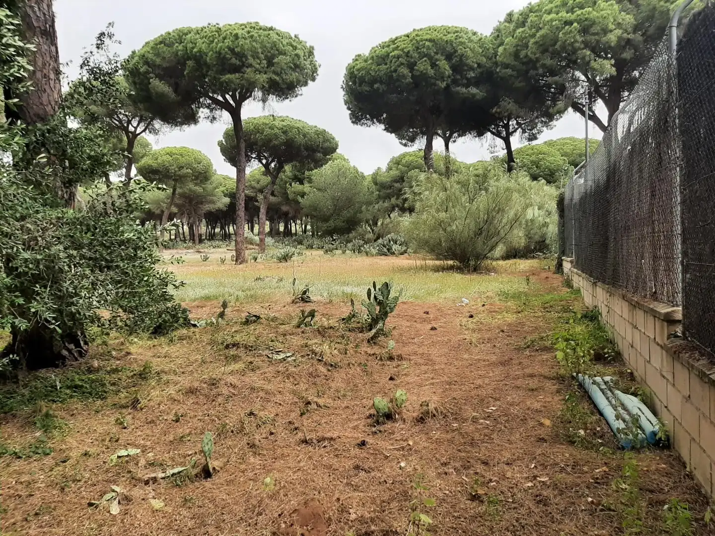 Rustikales Grundstück zum Verkauf in El Juncal - Vallealto, imagen 5