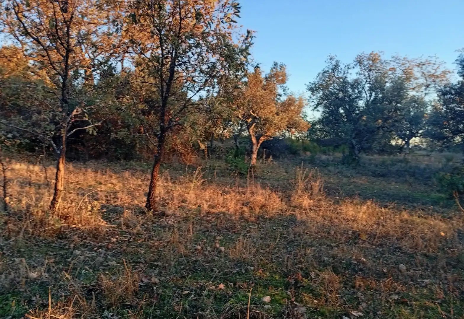 Terreni e lotti in vendita a Viandar de la Vera, imagen 12