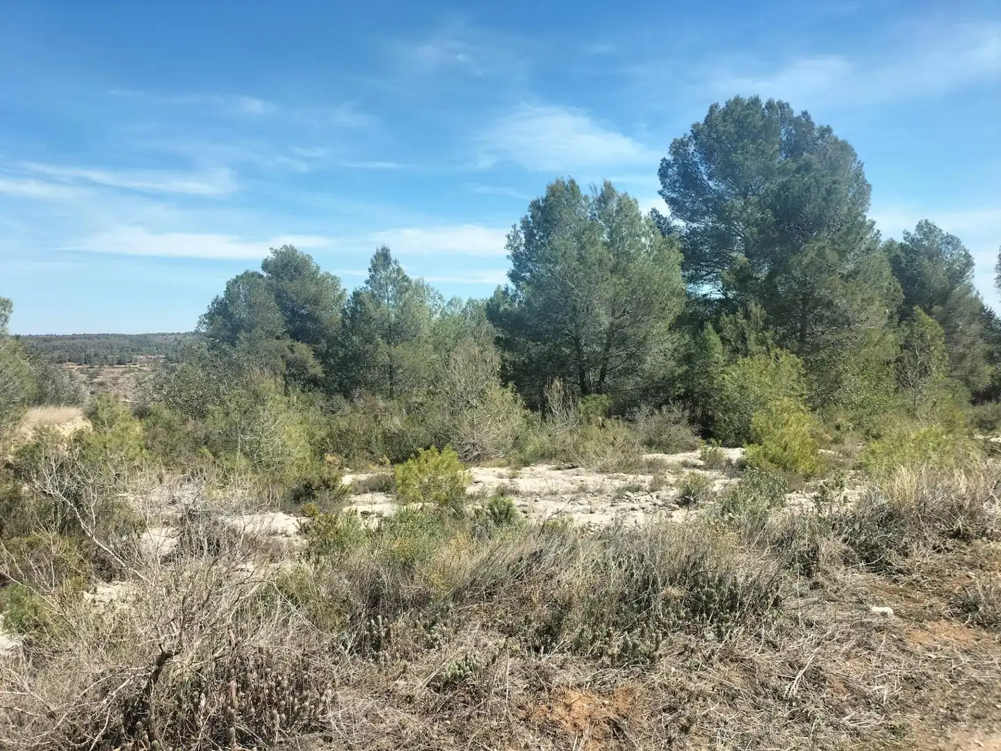 Terreno rustico in vendita a Navarrés, imagen 24