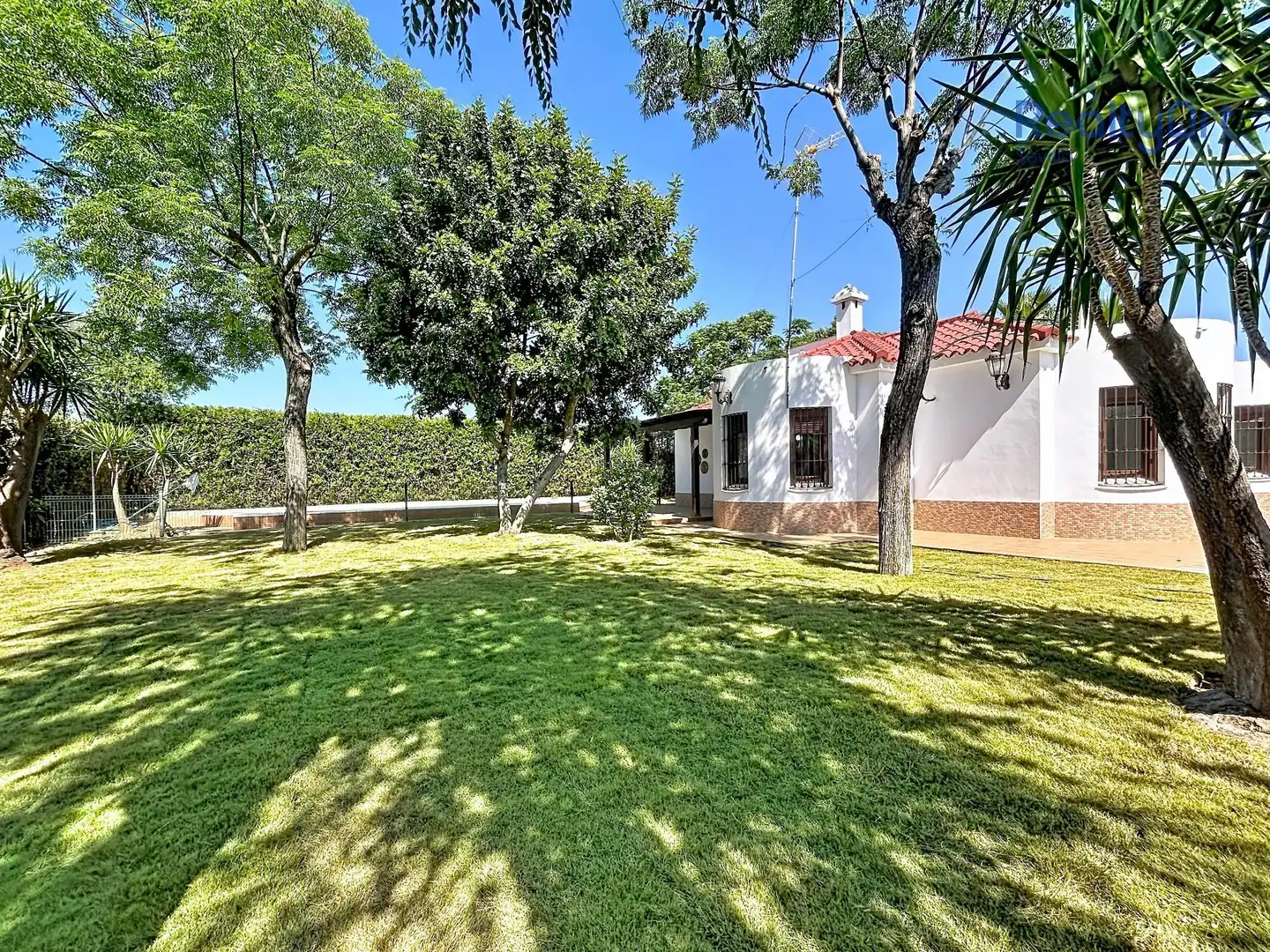 Chalet con piscina en venta en Loreto, imagen 6
