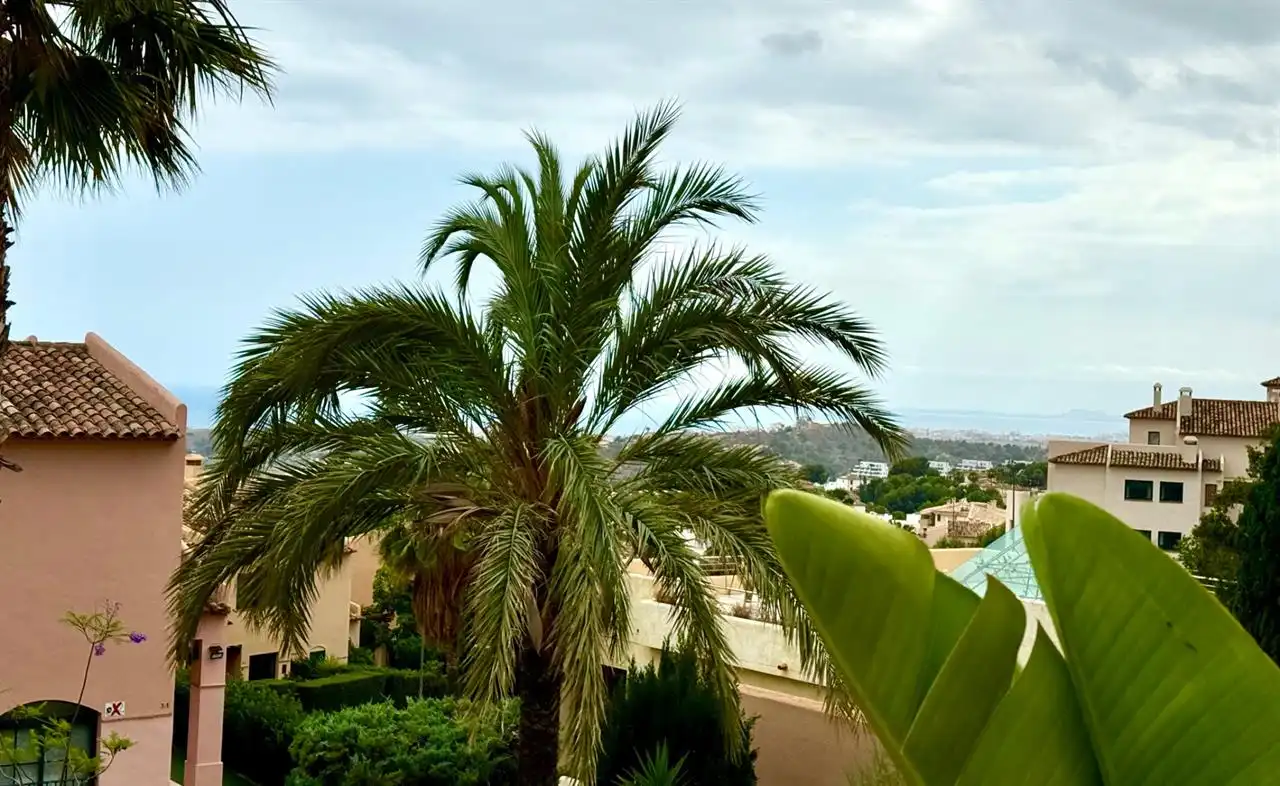 Detached homes for sale in Golf Bahía