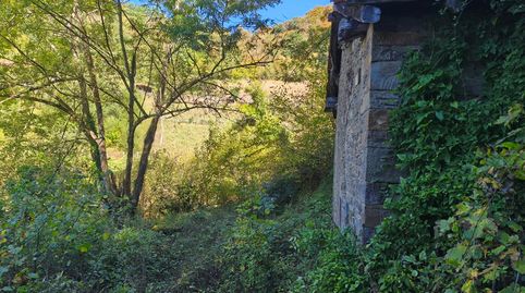 Foto 5 de Finca rústica en venta en Lugar Vallin, 29a, Quirós, Asturias