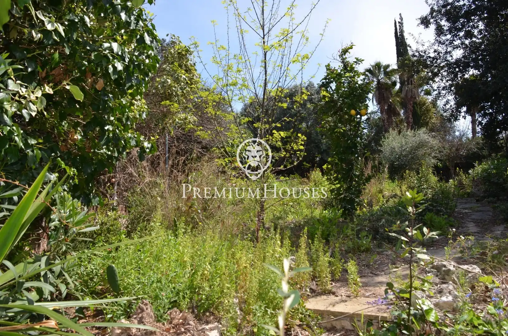Terreno residenziale in vendita a Masnou Alt, imagen 9