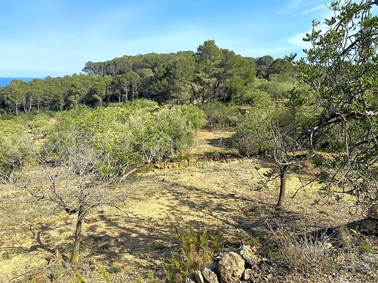 Terreno rustico in vendita a Puig Moltó, imagen 24