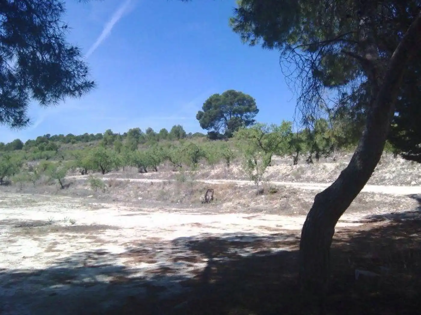 Terreny rústic en venda a Moratalla, imagen 8