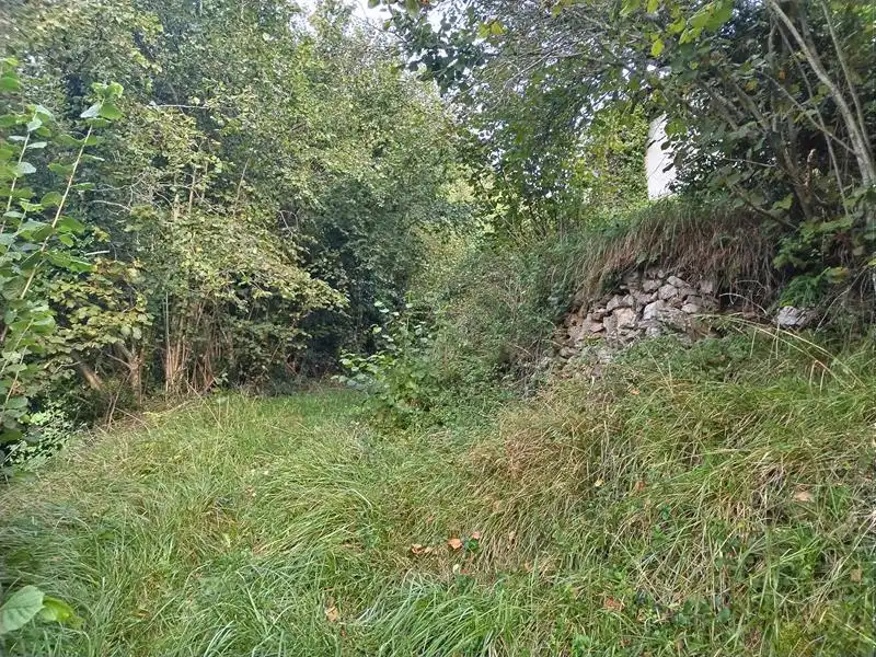 Country homes for sale in Yernes y Tameza