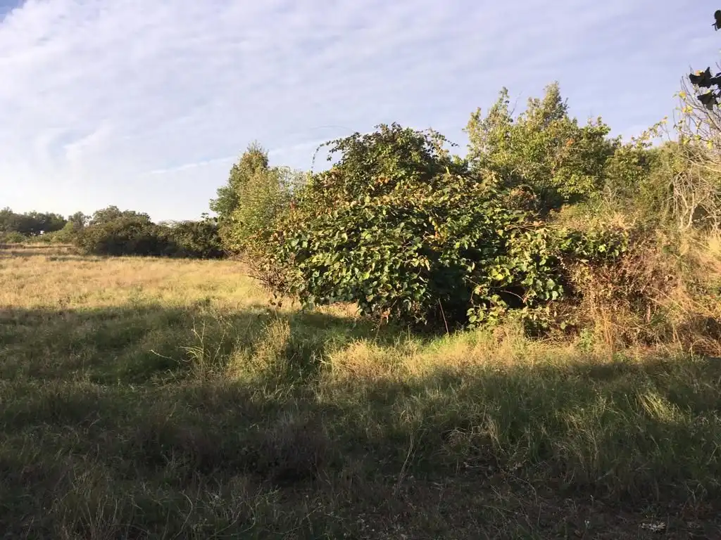 Terreni e lotti in vendita a Aldeanueva de la Vera, imagen 2