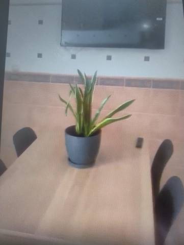 Piso en Venta en Calle ESTACION VIA CRUCIS, 6 en Plaza de Toros