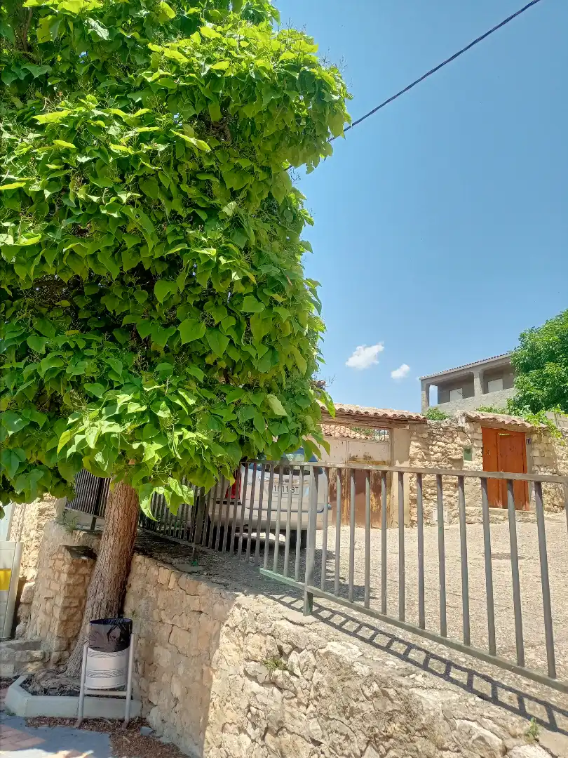 Vista exterior de Casa o chalet en venta en Cañada del Hoyo con Terraza, Amueblado y Balcón