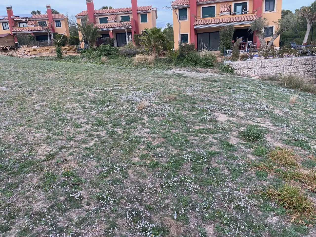 Terreno rústico en venta en c/ terres noves, imagen 7