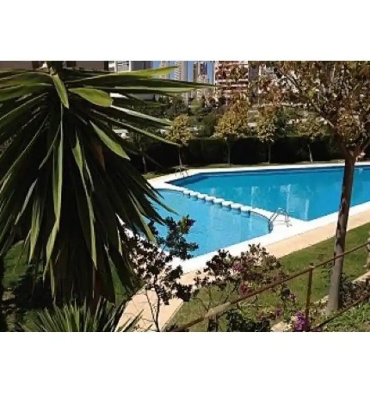 Piscina de Apartament en venda en Benidorm amb Aire condicionat, Terrassa i Moblat