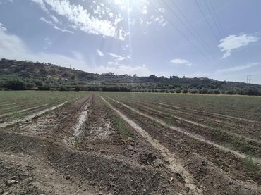 Terrain résidentiel à vendre à Loja